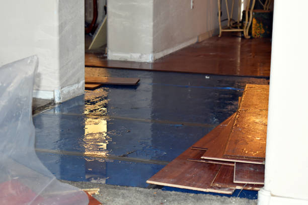 Professional Basement Flood Cleanup technician working in Hancock, IA